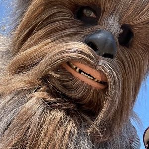 Meet your Posher, Jake and ava's